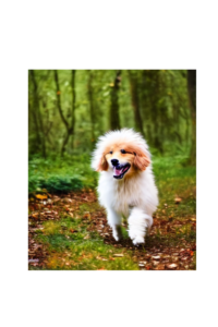 fluffy dog in a magical forest
