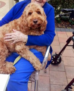 Therapy dog with dementia patient