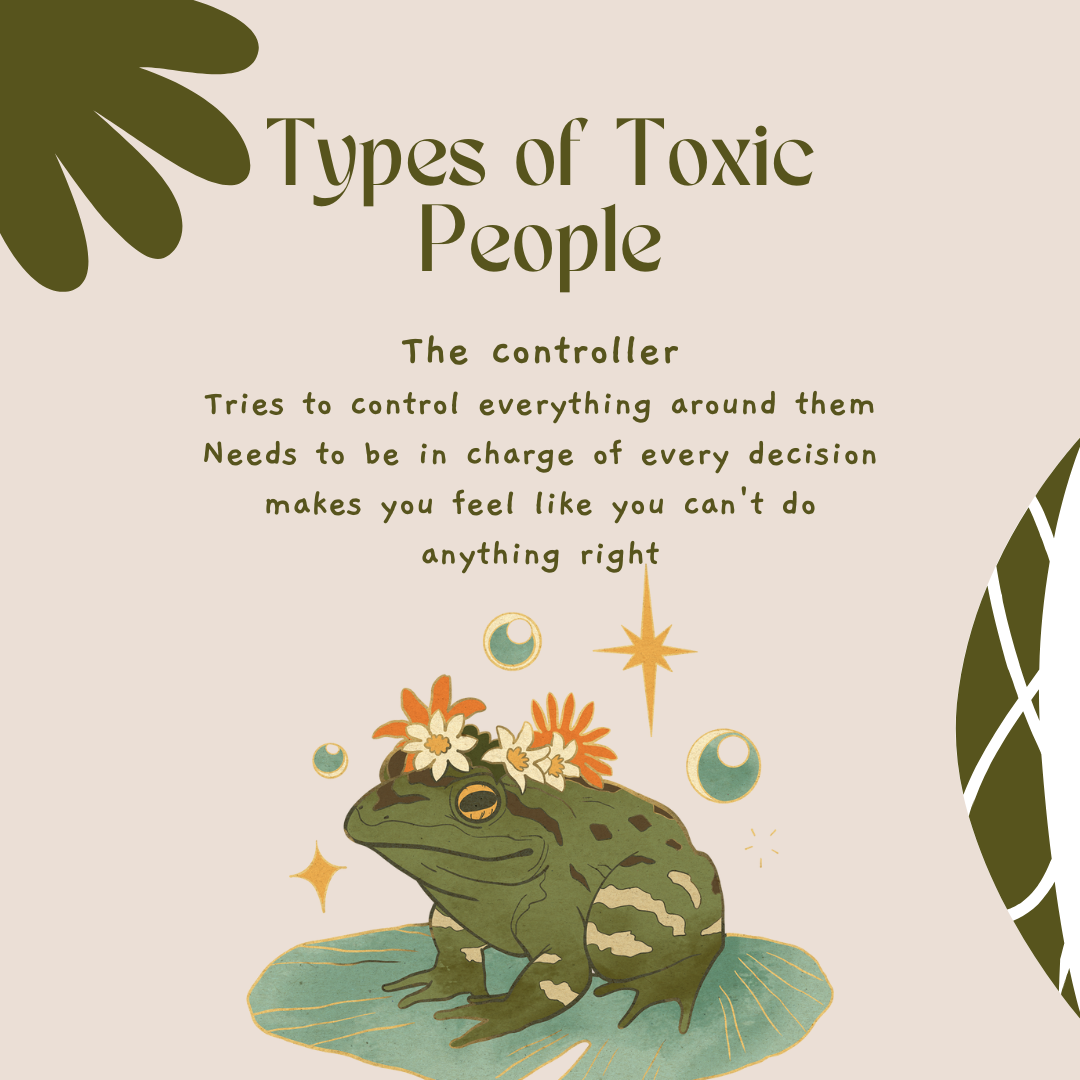 toxic people - the controller