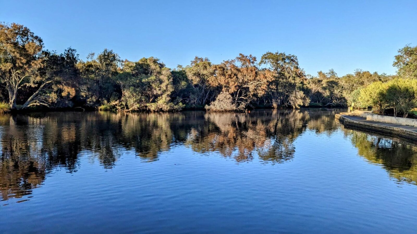 scene of a lake