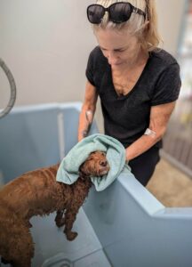 woman drying dog with a towel